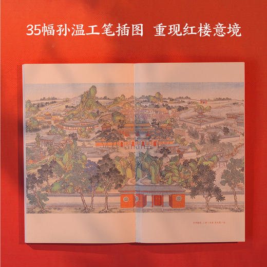 她力量：红楼女性的生存之道 商品图4