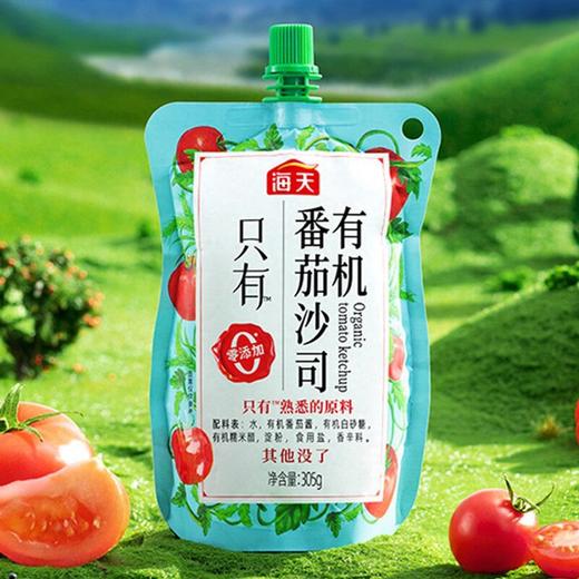 海天305g有机番茄沙司 商品图4