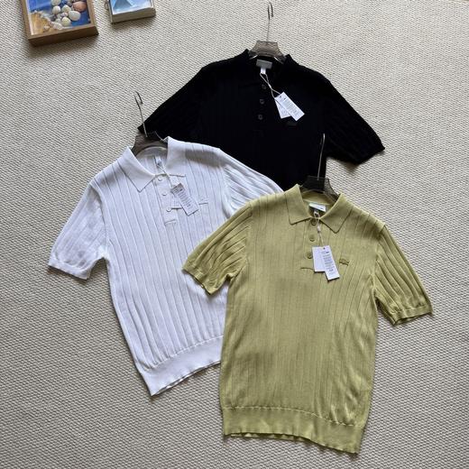 法国鳄鱼 26ss新款同色鱼标 短袖polo领针织衫 商品图3