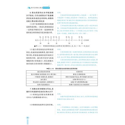 高中生物核心概念通释精炼/循标而学据标而炼向标而胜/朱鹤鸣 著/浙江大学出版社 商品图4
