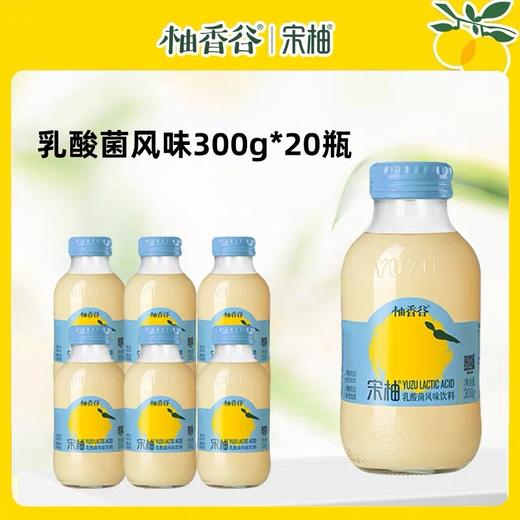 柚香谷宋柚乳酸菌口风味饮料 商品图4