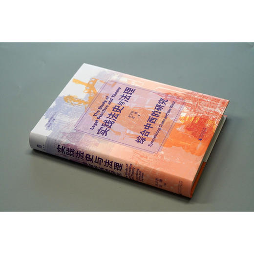 大学问·实践法史与法理：综合中西的研究（跳出西方理论框架，从实践看懂中国法律的过去与未来。） 商品图1