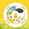 澳洲进口潘德尔顿芥花籽油750ml 商品缩略图1