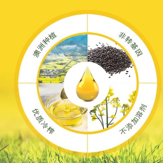 澳洲进口潘德尔顿芥花籽油750ml 商品图1