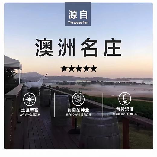 红角庄森林气设拉子葡萄酒 750ml 商品图3