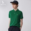 Hazzy哈吉斯经典款春夏新款休闲翻领短袖polo衫 商品缩略图2