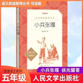 188376小兵张嘎
