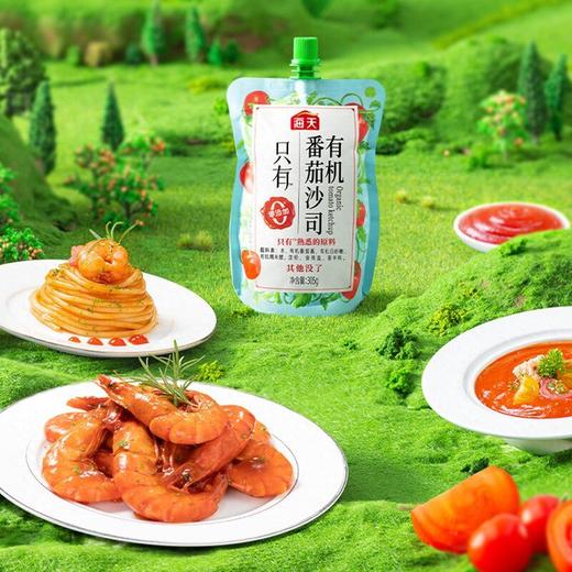 海天305g有机番茄沙司 商品图3