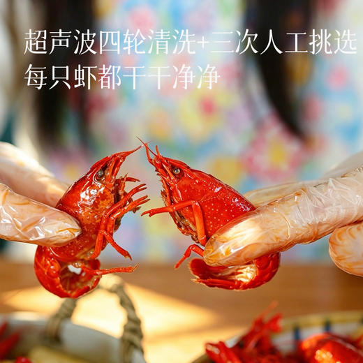 【夏季爆款 正宗洪泽湖小龙虾】活虾现做 天然香辛料 健康无添加 加热即食超方便 商品图1