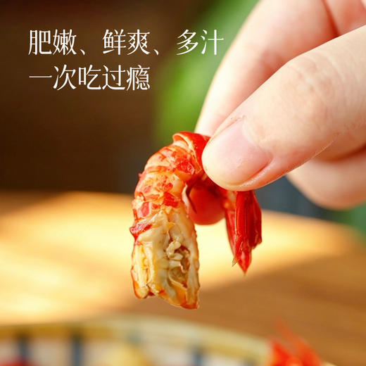 【夏季爆款 正宗洪泽湖小龙虾】活虾现做 天然香辛料 健康无添加 加热即食超方便 商品图2