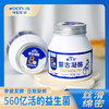 赛汗苏蒙古凝酪560g*4杯 商品缩略图0