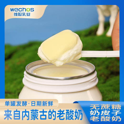 赛汗苏无蔗糖奶皮子老酸奶 200g/杯*8 商品图1