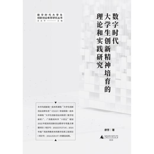 数字时代大学生创新精神培育的理论和实践研究 商品图1