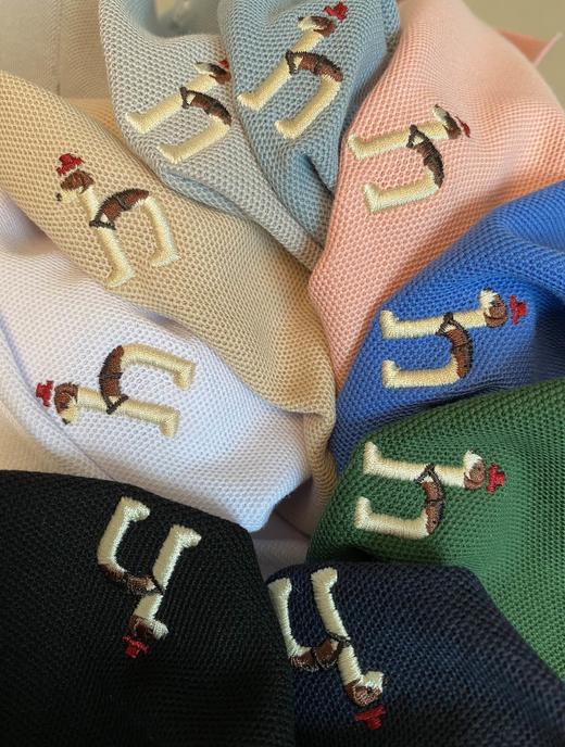 Hazzy哈吉斯经典款春夏新款休闲翻领短袖polo衫 商品图9
