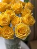国产单头玫瑰花金枝玉叶10支 商品缩略图3