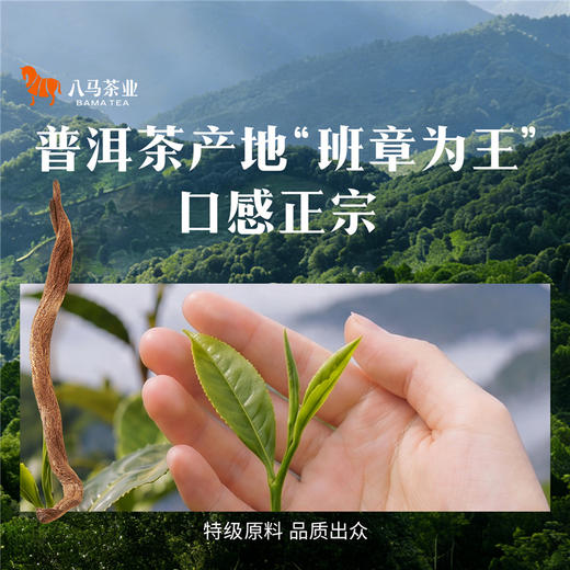 八马茶业｜四大茗著·云南普洱班章熟茶200g 商品图4