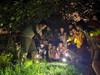 已成团5.23【锦城湖夜探昆虫】常见小动物的形态特征和生活习性，“三有动物”概念和动物保护知识，一起寻找那些只在夜晚出现的“小精灵”！ 商品缩略图1