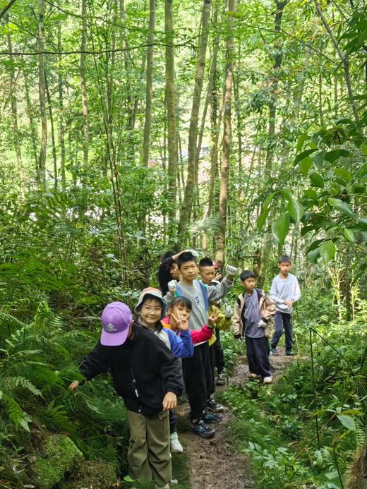 5.23/5.31【大邑鹤鸣山轻徒步+桨板玩水】森林轻徒步3公里+专业桨板学习实操，趣味竞赛，水上狂欢，解锁孩子的“水上超能力”！ 商品图11