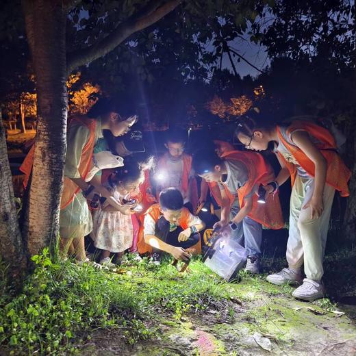 已成团5.23【锦城湖夜探昆虫】常见小动物的形态特征和生活习性，“三有动物”概念和动物保护知识，一起寻找那些只在夜晚出现的“小精灵”！ 商品图9