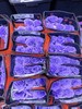 厄瓜多尔进口染色SWEET LAVENDER甜蜜薰衣草玫瑰10支 商品缩略图7