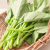 沈佳农 有机空心菜 250g 商品缩略图2