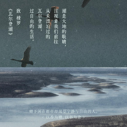 东方隐士线香礼盒 寐清净觉 | 10.5cm*30支 书香三径限定套组 空山时x中信联名 商品图3