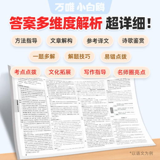 2027万唯小白鸥小升初真题卷数学语文英语毕业分班考试卷重点中学2025招生真题试卷超详解小学五年级六年级系统暑假总复习资料 商品图3