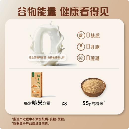 谦益 糙米奶1箱（200mlX6瓶） 0蔗糖 0乳糖 0麸质 入口丝滑 醇厚清甜 商品图1