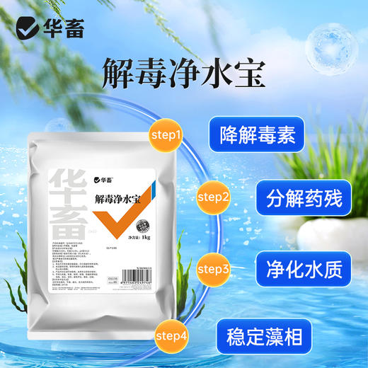 华畜水产解毒净水宝1kg 膏状有机酸 浓度更高 商品图3