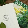 灵魂囚笼 商品缩略图1