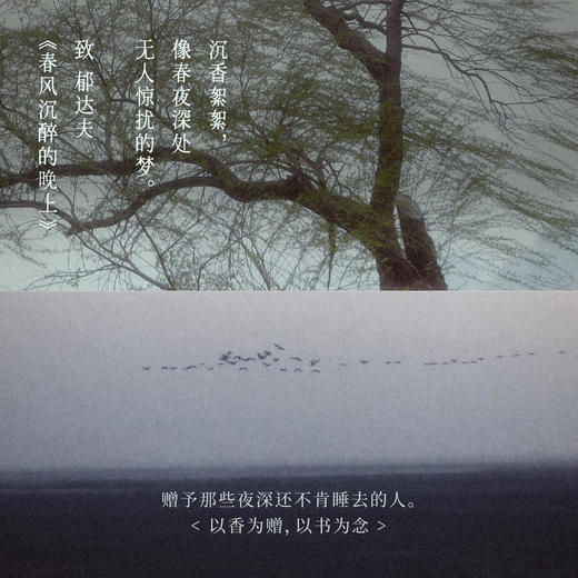 东方隐士线香礼盒 寐清净觉 | 10.5cm*30支 书香三径限定套组 空山时x中信联名 商品图1