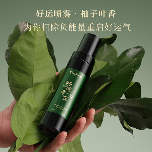 【上新】TOUCHME好运喷雾 香氛除味喷雾 衣物香氛喷雾持久防静电淡香水去味留香抑菌除螨 150ml 商品图1