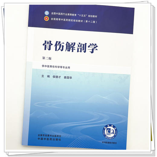 骨伤解剖学 侯德才 姜国华 主编（第二版）全国中医药行业高等教育十五五规划教材第十二版 中国中医药出版社 商品图3