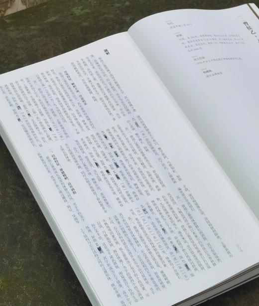 【重磅推荐】《简牍书法经典四十品》，精装，大16开，陈阳静主编，岳麓书社2025年11月一版一印，384页，定价398，售价198元 商品图3