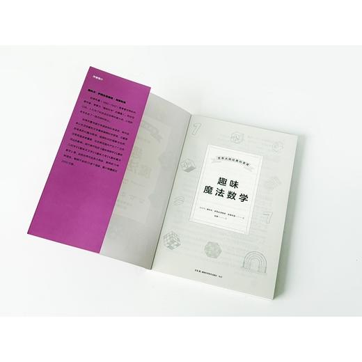 趣味魔法数学 商品图2