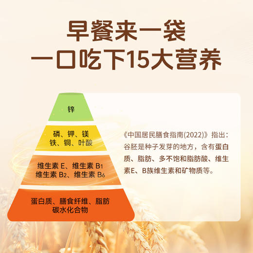 优选| 拾沃锁鲜小麦胚芽 高纤高蛋白  冲泡即食  450g/盒（30g*15）（下单即送小条试吃装） 商品图2