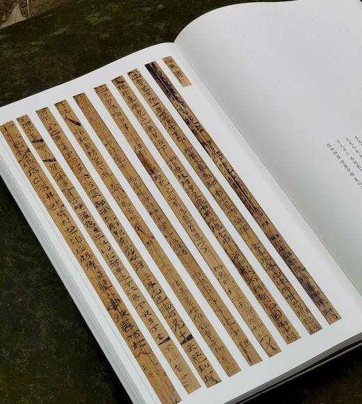 【重磅推荐】《简牍书法经典四十品》，精装，大16开，陈阳静主编，岳麓书社2025年11月一版一印，384页，定价398，售价198元 商品图10