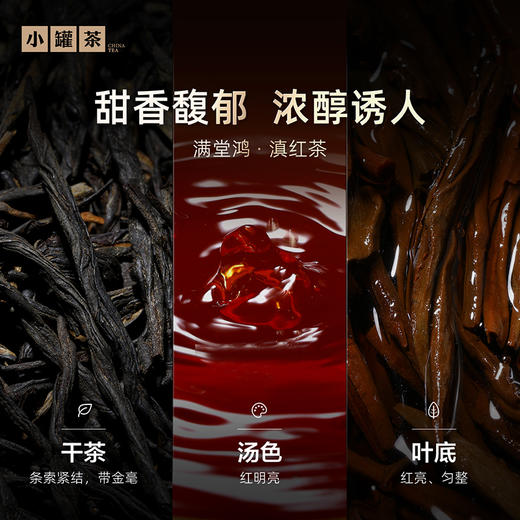 小罐茶 满堂鸿 滇红茶 商品图1