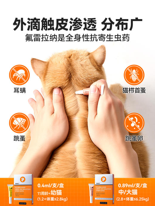 普安特爱滴卫猫咪驱虫药外驱宠物驱虫药跳蚤耳螨氟雷拉纳滴剂猫用 商品图4