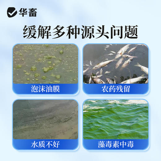 华畜水产解毒净水宝1kg 膏状有机酸 浓度更高 商品图2