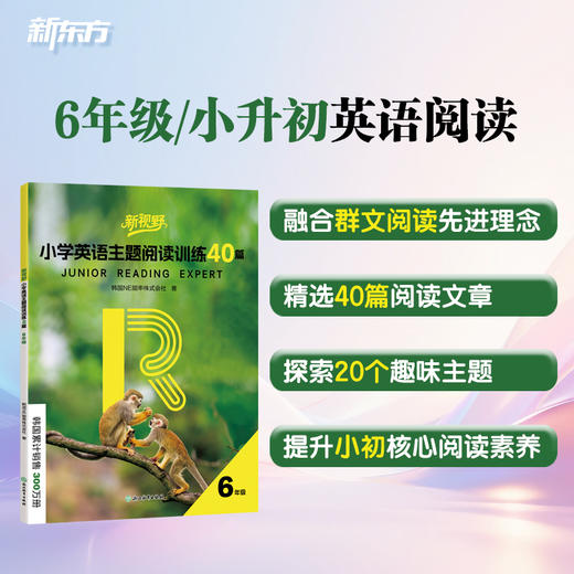 新视野 小学英语主题阅读训练40篇 6年级/7年级/8年级/9年级 商品图1