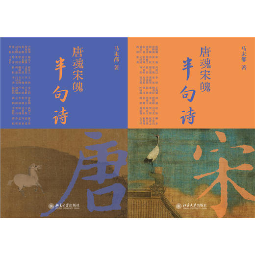 唐魂宋魄半句诗（全二册） 商品图1