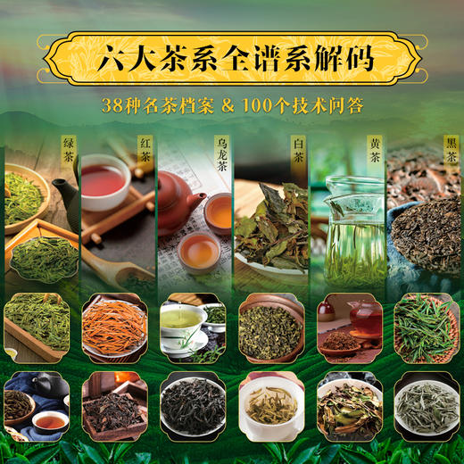 《中国茶叶全书》| 中国人的茶文化百科全书 商品图2