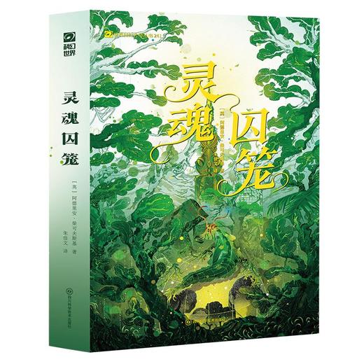 灵魂囚笼 商品图2