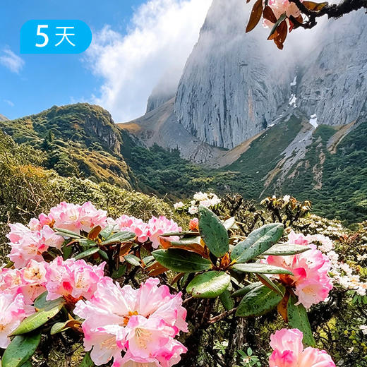 阿布吉措杜鹃季｜雪山海子牧场  轻装徒步露营41KM  5日 商品图1