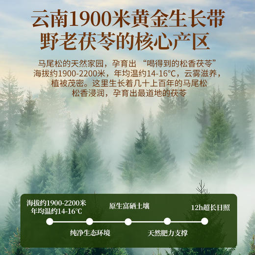 神农金康有机茯苓粉750g茯苓块磨粉茯苓糕煮粥煲汤料 老树茯苓丁块搭养胃 商品图6