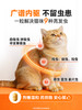 【90天内驱1次囤货7.5折】普安特猫咪驱虫药体内驱虫药宠物驱虫米尔贝肟吡喹酮季度装普乐妙 商品缩略图4