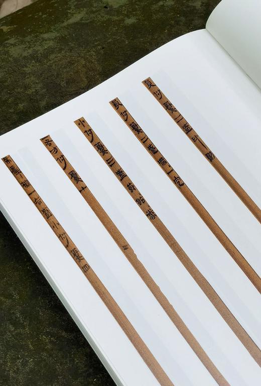 【重磅推荐】《简牍书法经典四十品》，精装，大16开，陈阳静主编，岳麓书社2025年11月一版一印，384页，定价398，售价198元 商品图14