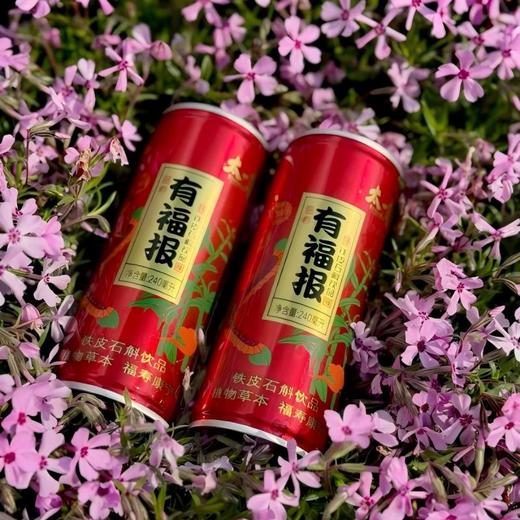 有福报铁皮石斛饮240ml/瓶 商品图0