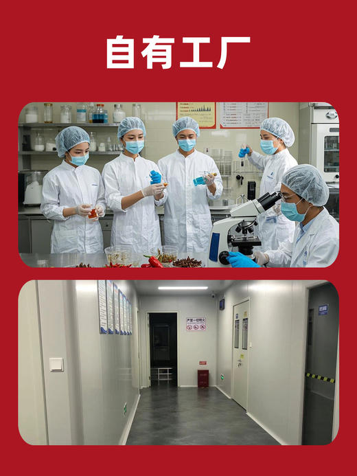 鸡柳同款大人三合一炸鸡撒粉空气年糕甘梅薯条咸甜粉腌料撒料商用 商品图9
